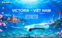 Vé Máy Bay Tết Từ Victoria Về Việt Nam Giá Rẻ