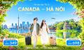 Vé Máy Bay Tết Từ Canada Về Hà Nội Giá Rẻ