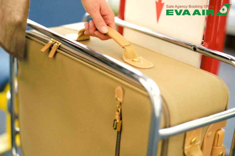 mua-them-hanh-ly-eva-air-di-anh