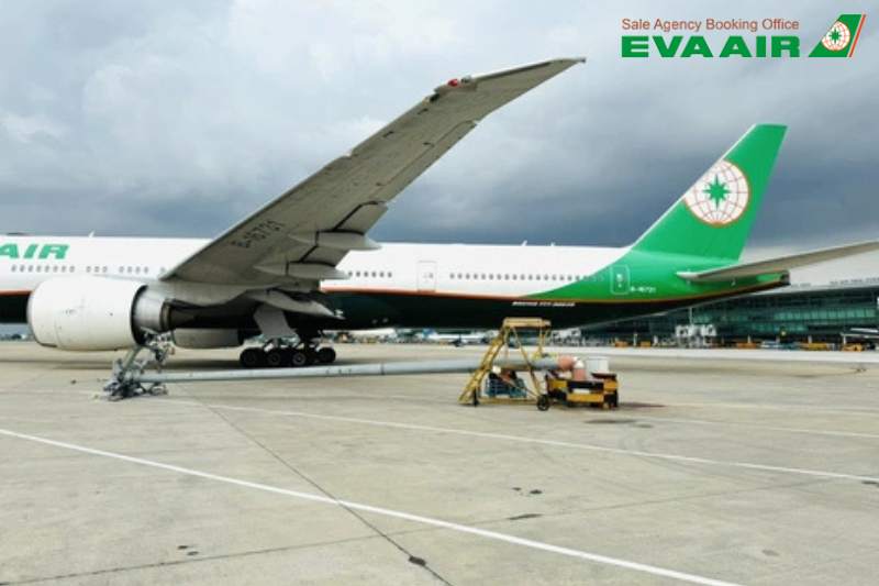 dat-ve-may-bay-di-wakayama