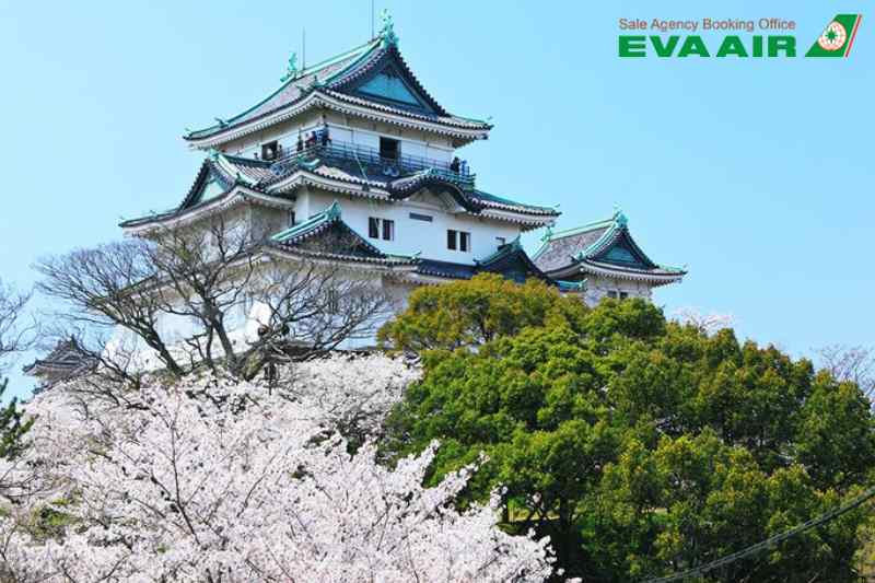 lau-dai-wakayama-nhat-ban