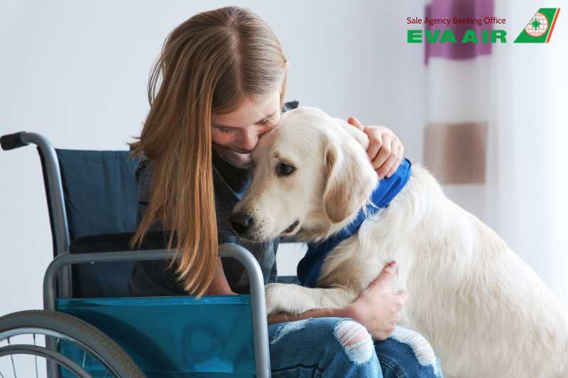 Dịch vụ hỗ trợ người khuyết tật eva air, hỗ trợ người khuyết tật eva air, dịch vụ trợ giúp hành khách khuyết tật eva air, dịch vụ hỗ trợ đặc biệt eva air, dịch vụ xe lăn eva air, thiết bị hỗ trợ người khuyết tật eva air, thiết bị hỗ trợ eva air