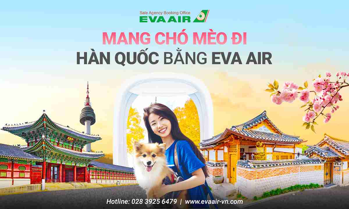 mang-cho-meo-di-han-quoc-bang-eva-air