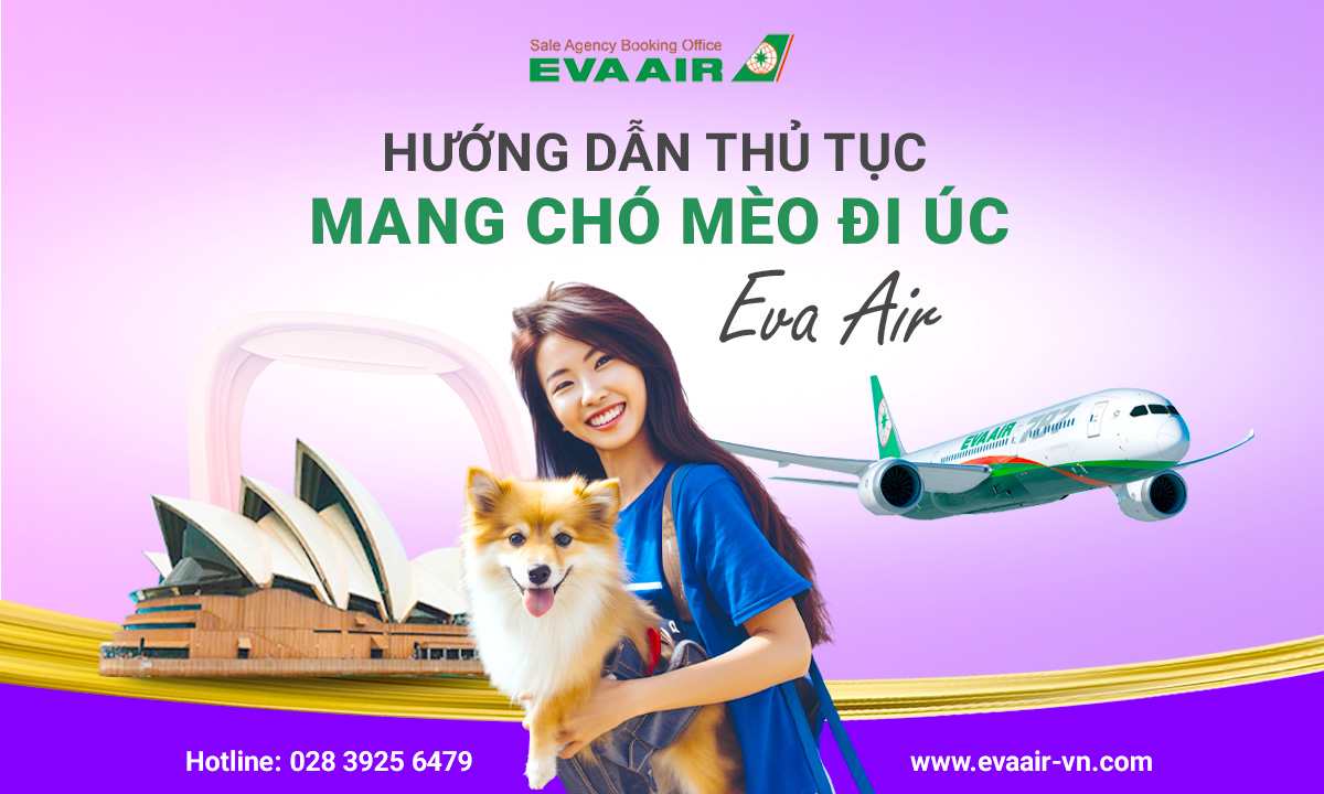 mang-cho-meo-di-uc-bang-eva-air