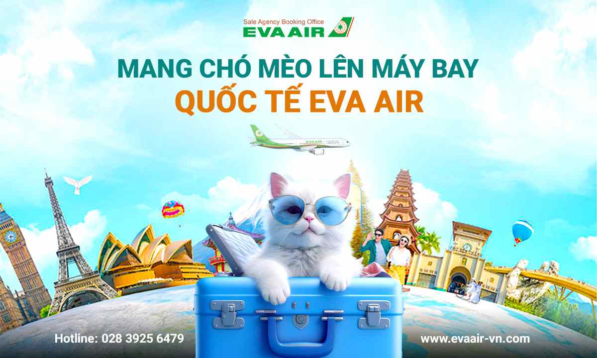 mang-cho-meo-len-may-bay-quoc-te-eva-air