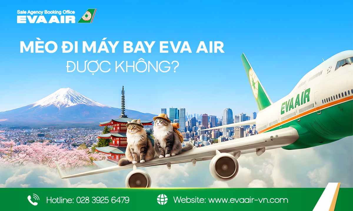 mèo đi máy bay eva air, quy định mang mèo đi EVA Air, vận chuyển mèo EVA Air, hành lý ký gửi EVA Air, mèo đi máy bay EVA Air ký gửi EVA Air, ký gửi mèo EVA Air, thủ tục cho mèo bay EVA Air, thủ tục xuất cảnh mèo EVA Air, ký gửi mèo đi máy bay EVA Air