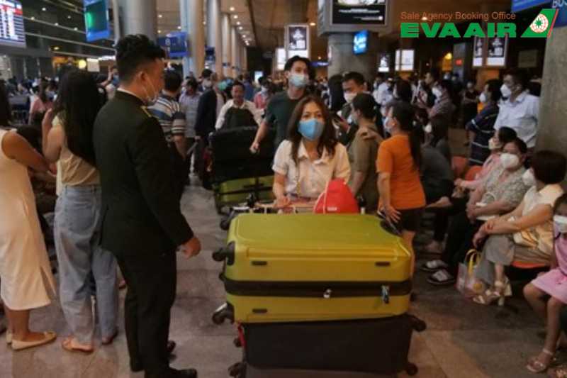 mua-them-hanh-ly-eva-air-di-busan