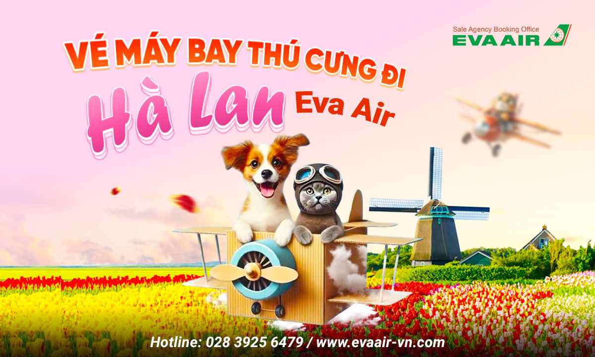 ve-may-bay-thu-cung-cho-meo-di-ha-lan-eva-air