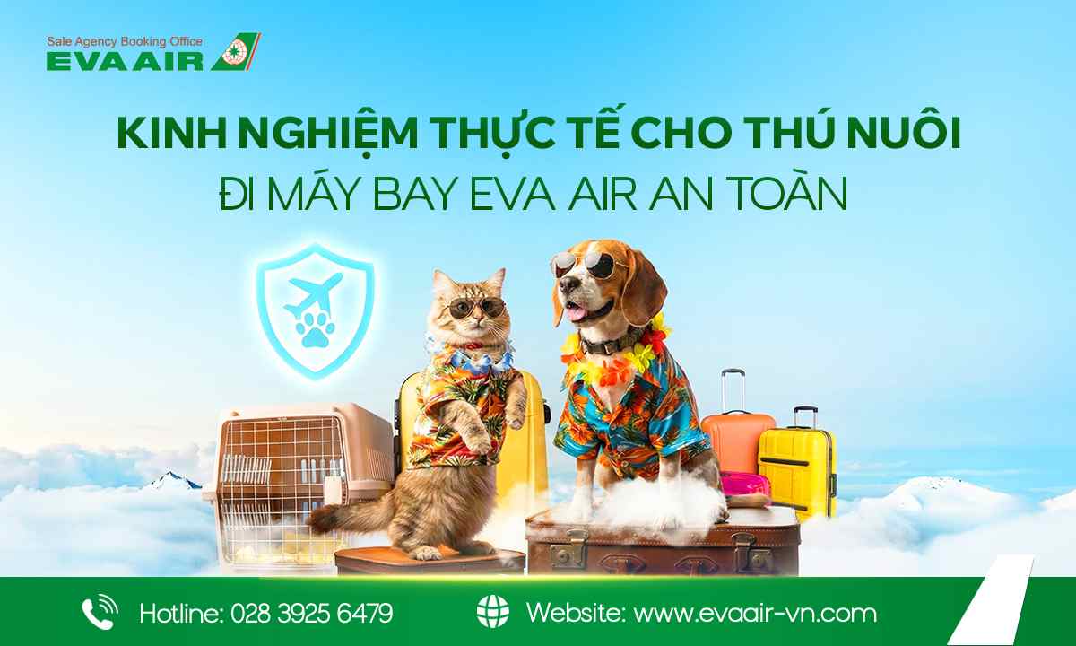 kinh nghiệm cho thú nuôi đi máy bay EVA Air, kinh nghiệm cho thú cưng đi máy bay EVA Air, chuẩn bị thú cưng đi máy bay EVA Air, trải nghiệm cho chó mèo đi EVA Air, mẹo cho chó mèo bay EVA Air, hướng dẫn đưa thú cưng lên máy bay EVA Air