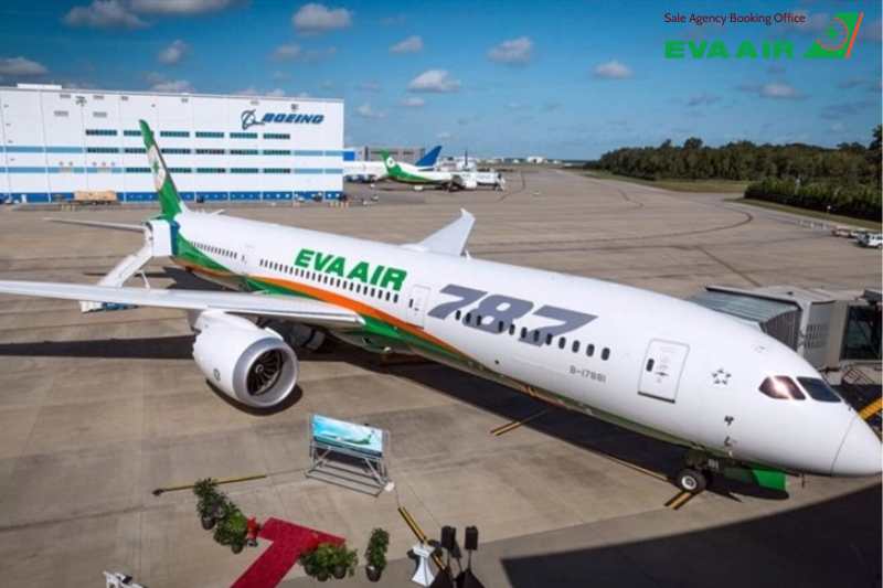 Trải nghiệm tiện nghi khi bay EVA Air đi Miami