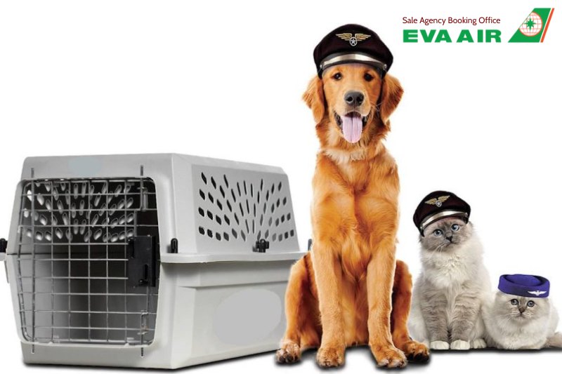 lồng vận chuyển chó mèo EVA Air,tiêu chuẩn lồng IATA EVA Air, kích thước lồng đi máy bay EVA Air, lồng vận chuyển thú cưng ký gửi eva air, chuồng vận chuyển thú cưng đi máy bay eva air, lồng vận chuyển động vật cảnh EVA Air