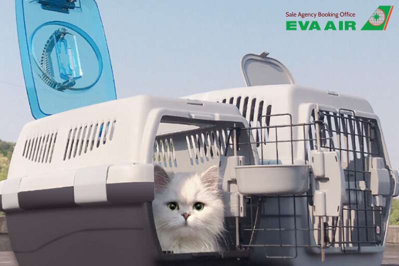 lồng vận chuyển chó mèo EVA Air,tiêu chuẩn lồng IATA EVA Air, kích thước lồng đi máy bay EVA Air, lồng vận chuyển thú cưng ký gửi eva air, chuồng vận chuyển thú cưng đi máy bay eva air, lồng vận chuyển động vật cảnh EVA Air