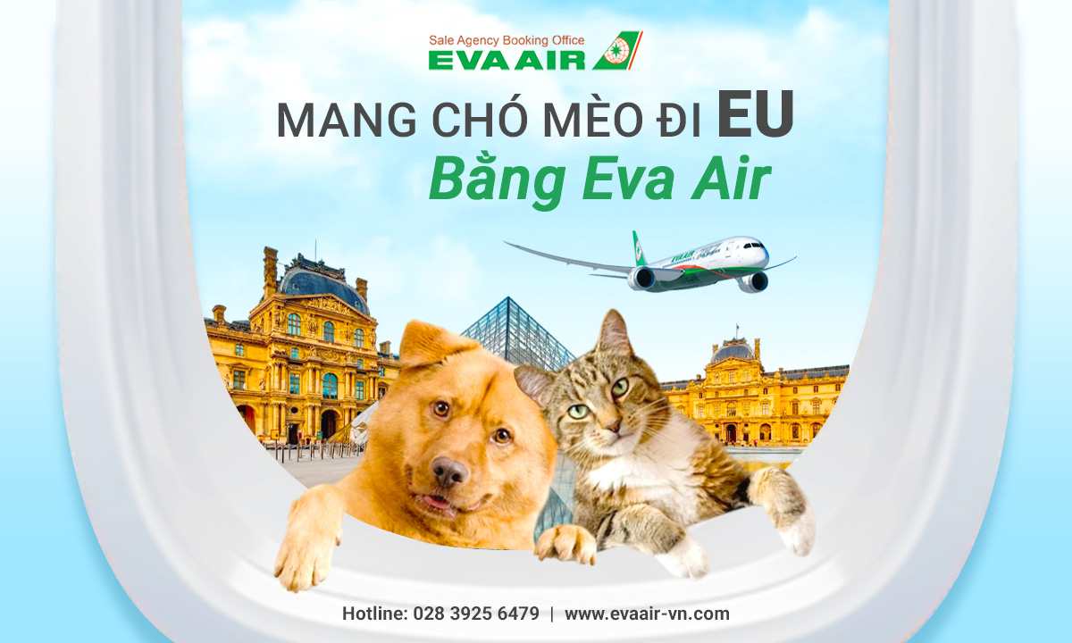 mang-cho-meo-di-eu-bang-eva-air