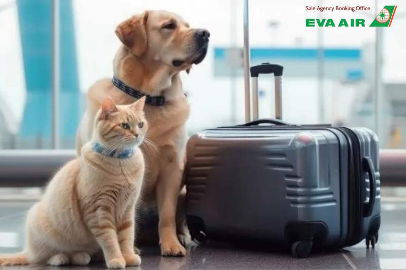mang thú cưng lên máy bay eva air, chó mèo đi máy bay EVA Air, vận chuyển thú cưng bằng máy bay EVA Air, thú cưng đi máy bay eva air, ký gửi thú cưng eva air, phí vận chuyển thú cưng eva air, lồng vận chuyển thú cưng eva air, vận chuyển chó mèo EVA Air