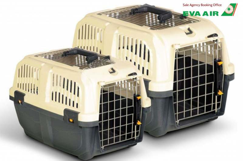 mang thú cưng lên máy bay eva air, chó mèo đi máy bay EVA Air, vận chuyển thú cưng bằng máy bay EVA Air, thú cưng đi máy bay eva air, ký gửi thú cưng eva air, phí vận chuyển thú cưng eva air, lồng vận chuyển thú cưng eva air, vận chuyển chó mèo EVA Air
