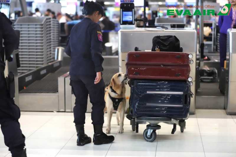mua-them-hanh-ly-eva-air-di-seoul