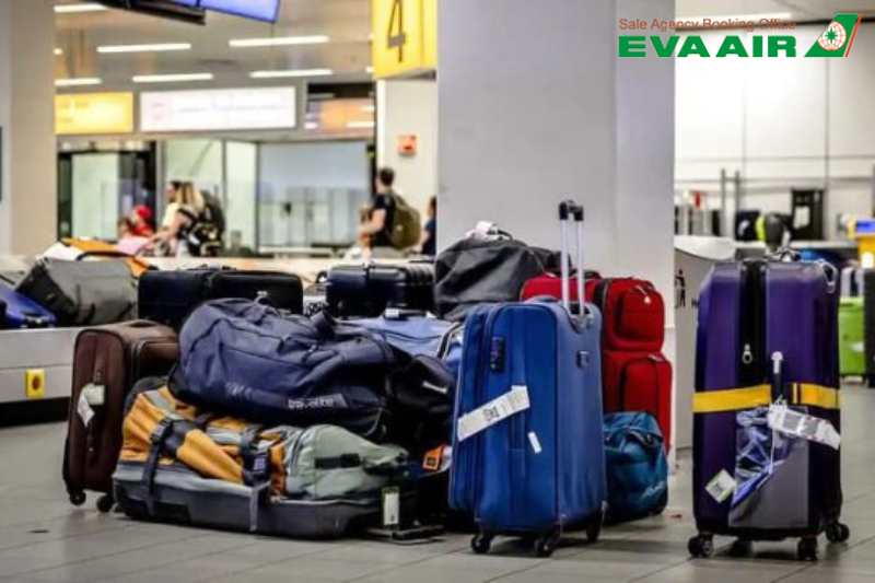 mua-them-hanh-ly-eva-air-di-vienna