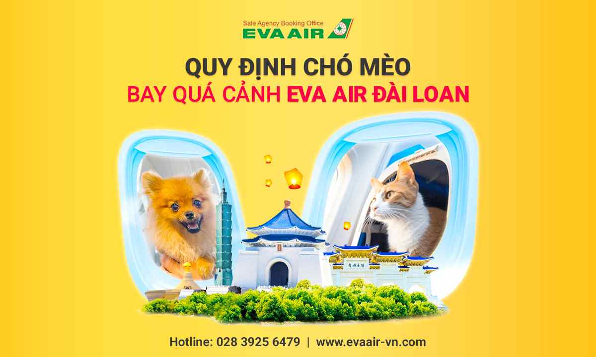 quy-dinh-cho-meo-bay-qua-canh-eva-air