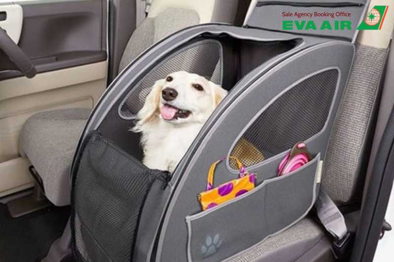 Quy định nhập cảnh thú cưng EVA Air, thủ tục nhập cảnh thú cưng EVA Air, Quy định nhập cảnh thú cưng EVA Air đi Mỹ, Quy định nhập cảnh thú nuôi EVA Air đi Úc, Quy định nhập cảnh thú cưng EVA Air đi Canada,