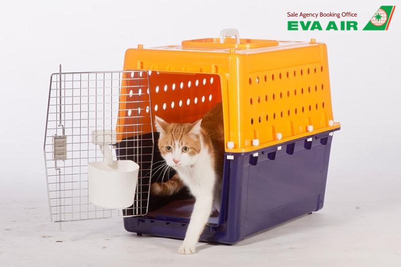 Quy định nhập cảnh thú cưng EVA Air, thủ tục nhập cảnh thú cưng EVA Air, Quy định nhập cảnh thú cưng EVA Air đi Mỹ, Quy định nhập cảnh thú nuôi EVA Air đi Úc, Quy định nhập cảnh thú cưng EVA Air đi Canada,