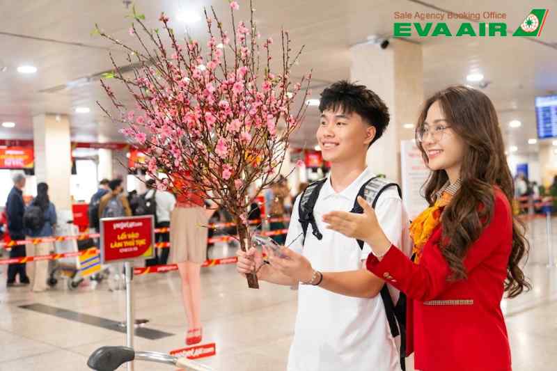 ve-may-bay-tet-tu-san-francisco-ve-viet-nam