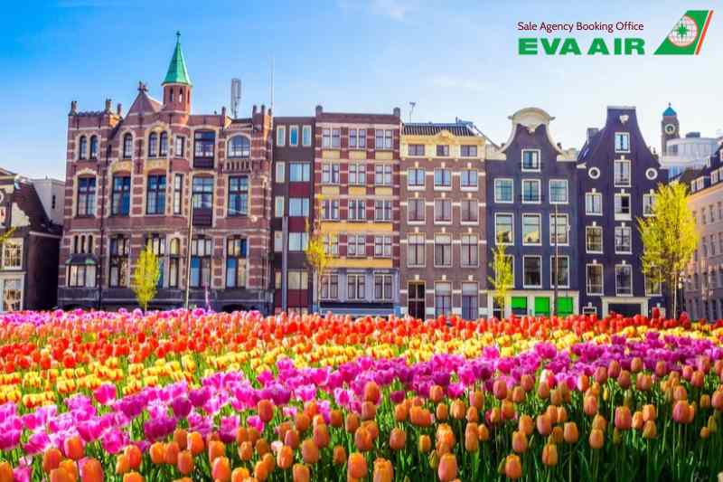 vé máy bay cho thú cưng chó mèo đi Hà Lan EVA Air, vé máy bay thú cưng đi Hà Lan EVA Air, vé máy bay chó mèo đi Hà Lan EVA Air, đưa chó mèo đi Hà Lan EVA Air, vận chuyển thú cưng đi Hà Lan EVA Air, vé vận chuyển thú cưng đi Hà Lan EVA Air