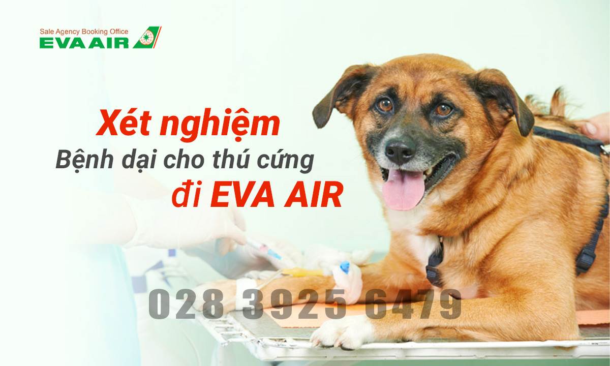 xet-nghiem-benh-dai-cho-thu-cung-bay-eva-air