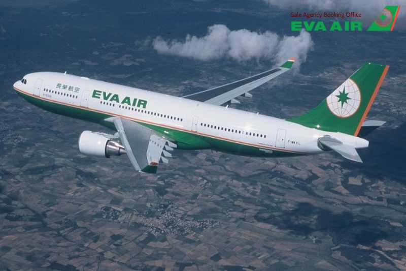 chó mèo bay quốc tế EVA Air, kinh nghiệm chó mèo bay quốc tế EVA Air, thú cưng bay quốc tế EVA Air, vật nuôi bay quốc tế EVA Air, gửi thú cưng đi quốc tế EVA Air, vận chuyển thú cưng quốc tế EVA Air, vận chuyển thú cưng đi nước ngoài EVA Air 