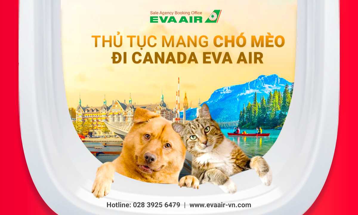 mang-cho-meo-di-canada-bang-eva-air