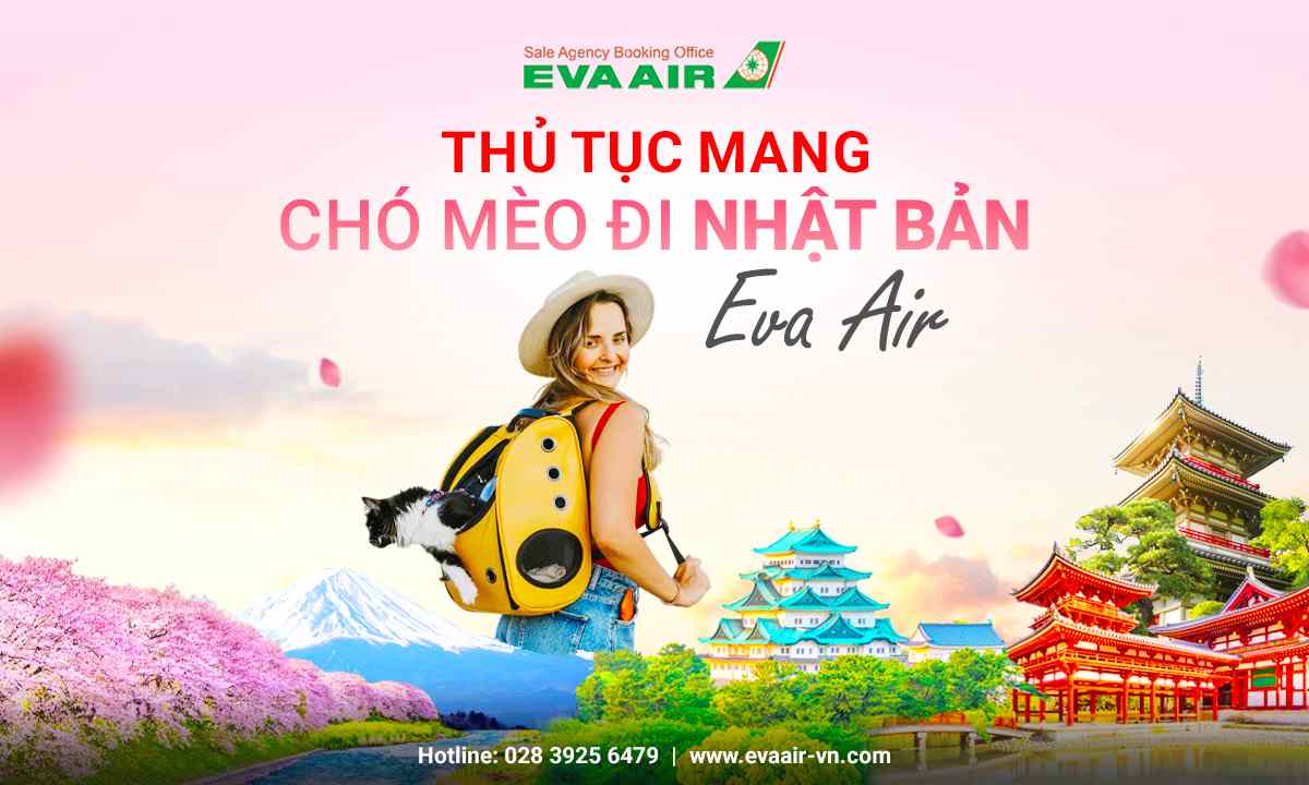 mang-cho-meo-di-nhat-ban-bang-eva-air