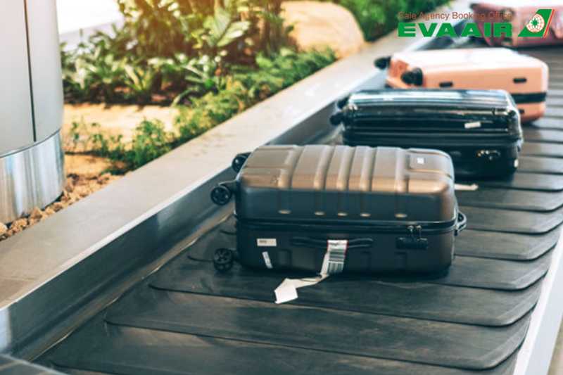 mua-them-hanh-ly-eva-air-di-nhat-ban