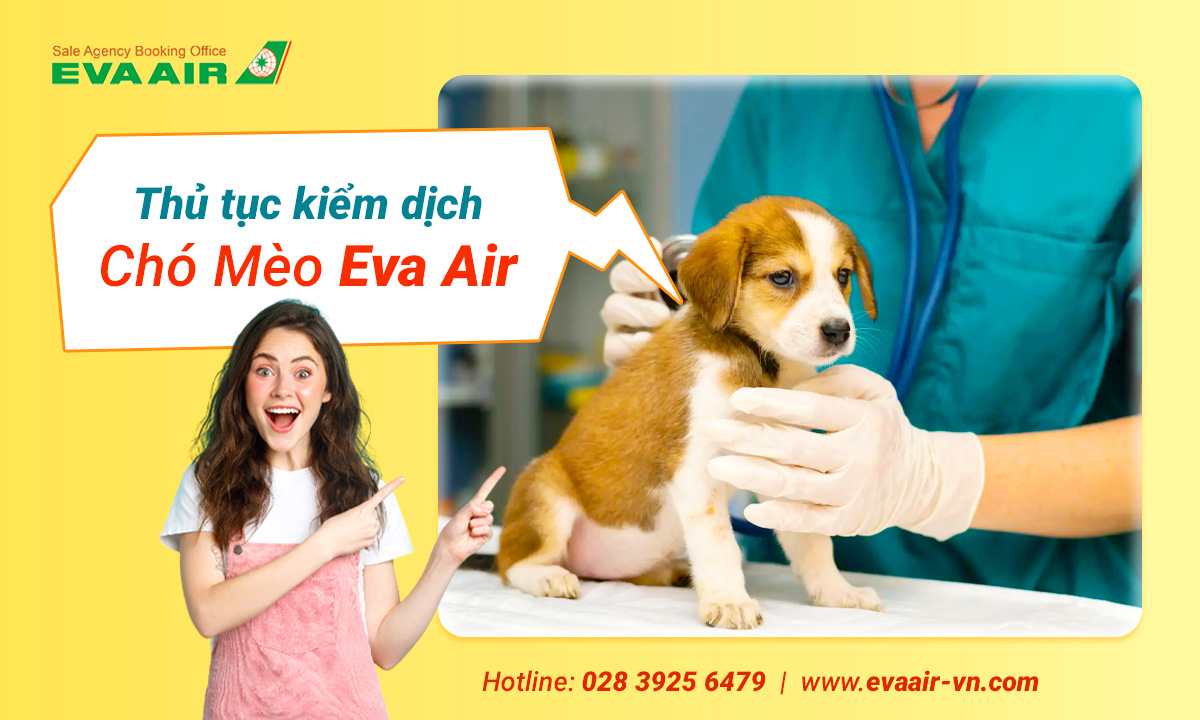 thu-tuc-kiem-dich-cho-meo-eva-air