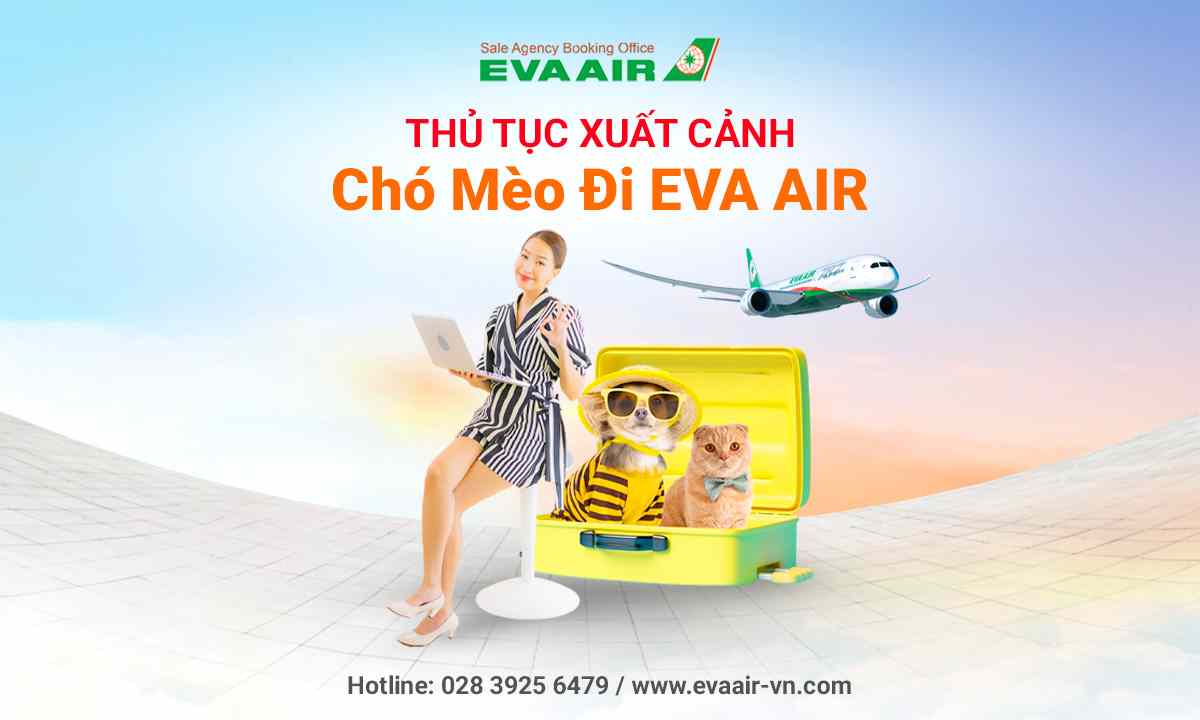 thu-tuc-xuat-canh-cho-meo-di-may-bay-eva-air