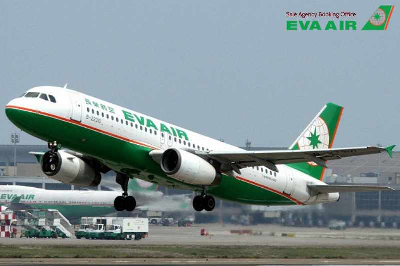 vận chuyển thú cưng chó mèo đi Los Angeles EVA Air, mang chó mèo đi Los Angeles, chó mèo đi máy bay EVA Air đến Mỹ, vận chuyển thú cưng đi Los Angeles EVA Air, gửi chó mèo đi Los Angeles bằng EVA Air