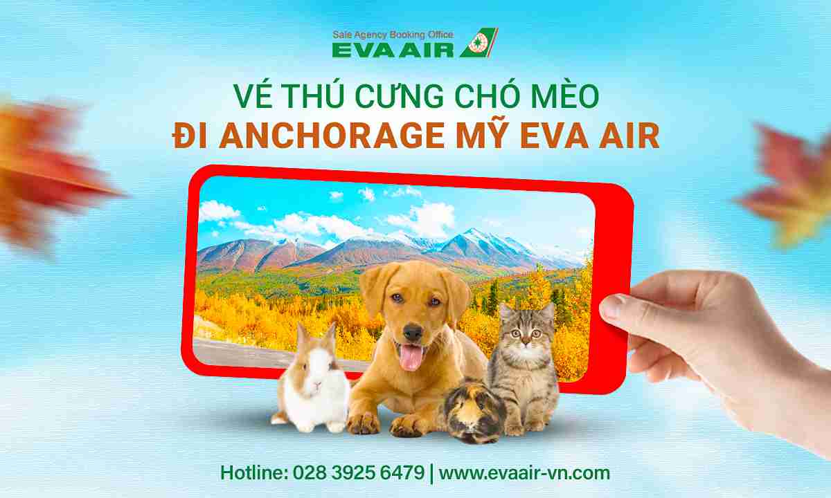 ve-thu-cung-cho-meo-di-anchorage-my-eva-air
