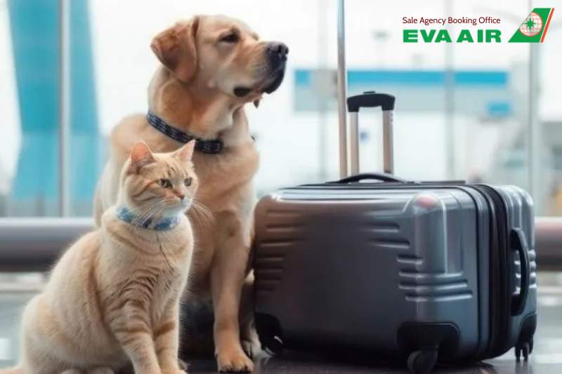 Hành lý EVA Air, Hành lý ký gửi EVA Air, Hành lý xách tay EVA Air, Hành lý thất lạc EVA Air, Hành lý trễ EVA Air, Hành lý hư hỏng EVA Air, Khiếu nại hành lý EVA Air, Bồi thường hành lý EVA Air, Quy định hành lý EVA Air