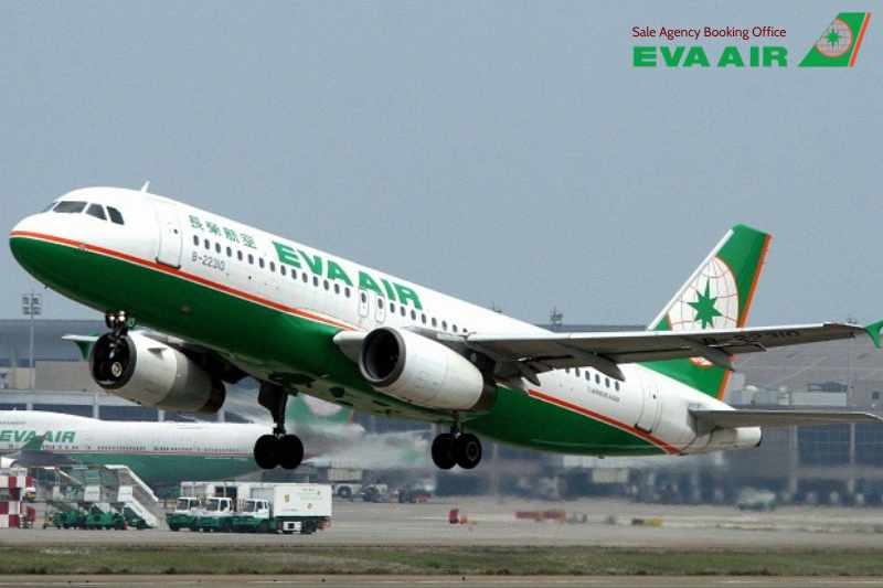 mang thú cưng lên máy bay quốc tế EVA Air, mang chó mèo lên máy bay quốc tế eva air, vận chuyển thú cưng quốc tế eva air, vận chuyển chó mèo quốc tế eva air, chó mèo bay quốc tế eva air, thú cưng bay quốc tế eva air, thú cưng đi máy bay EVA Air