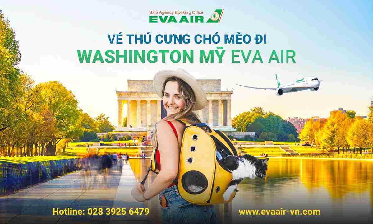 ve-thu-cung-cho-meo-di-washington-dc-my-eva-air