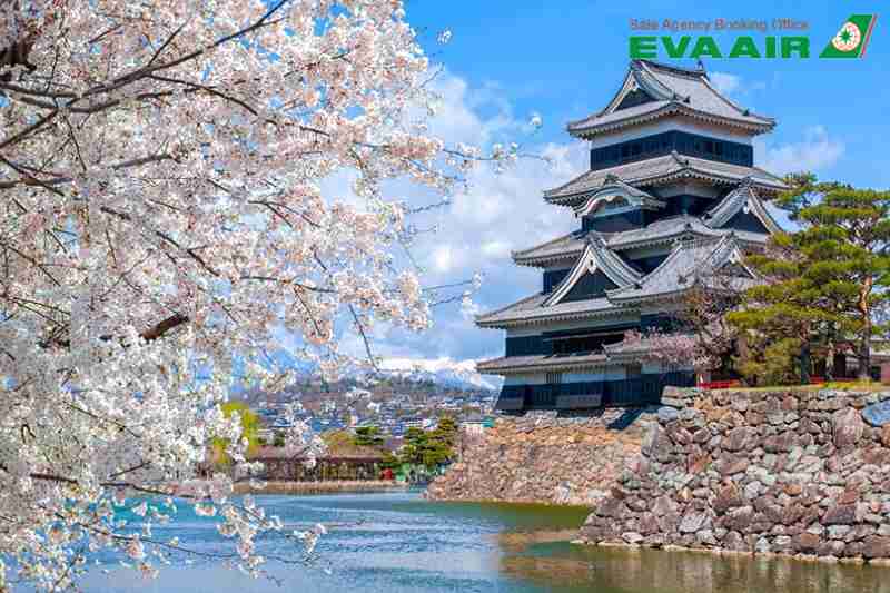 ve-may-bay-di-matsumoto