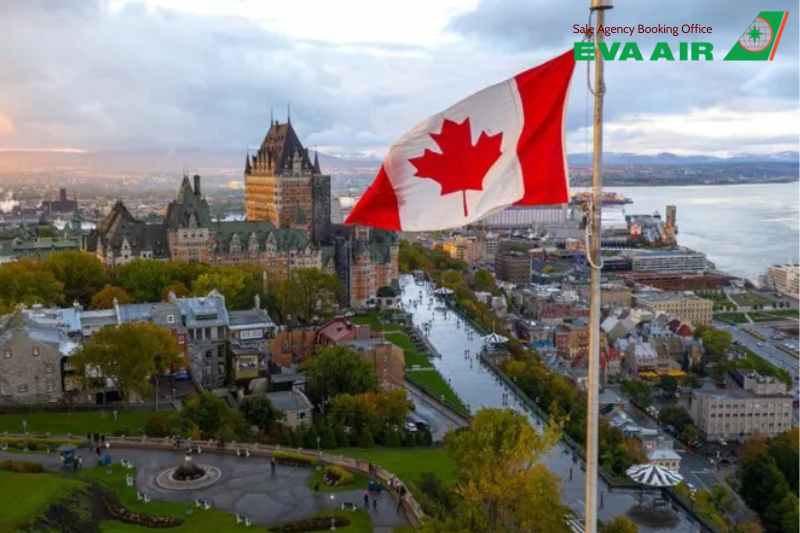 mang chó mèo đi Canada bằng EVA Air, thủ tục mang chó mèo đi Canada bằng EVA Air, Mang chó mèo sang Canada bằng EVA Air, vận chuyển thú cưng đi Canada EVA Ai, mang thú cưng sang Canada bằng EVA Air, đưa chó mèo từ Việt Nam sang Canada EVA Air