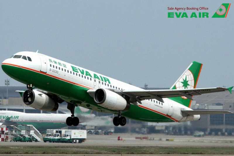 Mang chó mèo đi Hàn Quốc bằng EVA Air, EVA Air vận chuyển thú cưng đi Hàn Quốc, đưa chó mèo từ Việt Nam sang Hàn Quốc bằng EVA Air, đưa chó mèo sang Hàn Quốc bằng EVA Air, Mang thú cưng đi Hàn Quốc bằng EVA Air
