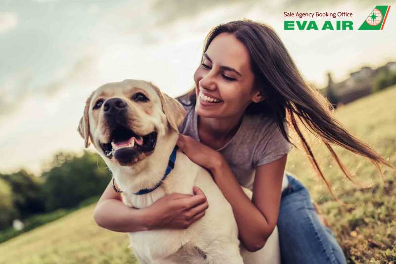 Mang thú cưng đến Thái lan bằng EVA Air, đưa chó mèo từ Việt Nam sang Thái Lan bằng EVA Air, đưa chó mèo sang Thái Lan bằng EVA Air, Quy định nhập cảnh thú cưng EVA Air vào Thái Lan,  mang thú cưng đến Thái Lan EVA Air, mang thú cưng đi Thái Lan EVA Air 