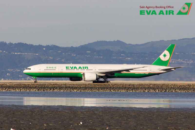 Mang thú cưng đến Thái lan bằng EVA Air, đưa chó mèo từ Việt Nam sang Thái Lan bằng EVA Air, đưa chó mèo sang Thái Lan bằng EVA Air, Quy định nhập cảnh thú cưng EVA Air vào Thái Lan,  mang thú cưng đến Thái Lan EVA Air, mang thú cưng đi Thái Lan EVA Air 