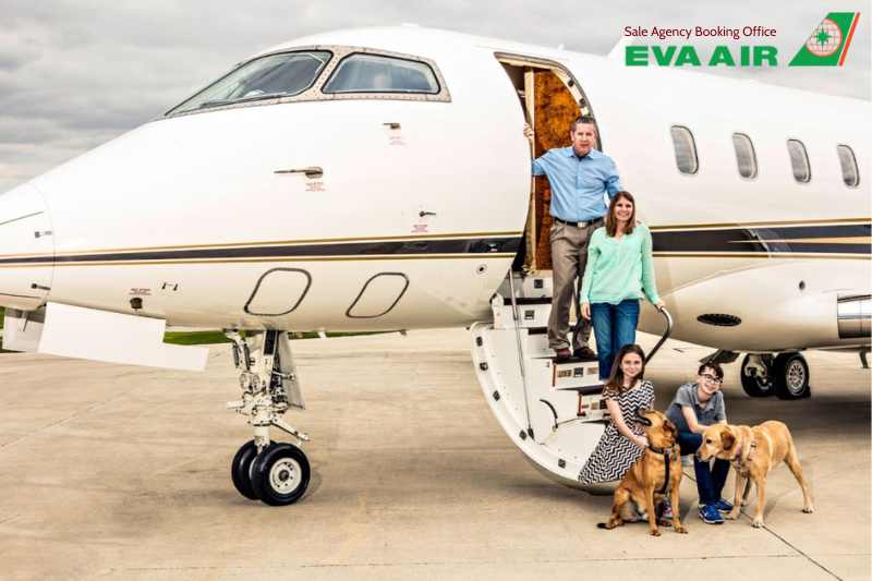 thú cưng trong khoang hàng hóa EVA Air, vận chuyển thú cưng EVA Air, gửi chó mèo ký gửi EVA Air,  ký gửi thú cưng EVA Air trong khoang cargo, Chó mèo trong khoang hàng hóa EVA Air, khoang hàng hóa vận chuyển thú cưng EVA Air