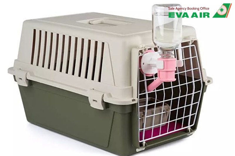 Thủ tục nhập cảnh chó mèo đi máy bay EVA Air về Việt Nam, chó mèo đi máy bay EVA Air về Việt Nam, mang chó mèo về Việt Nam bằng máy bay EVA Air, giấy tờ nhập cảnh chó mèo về Việt Nam, thú cưng đi máy bay EVA Air về Việt Nam.
