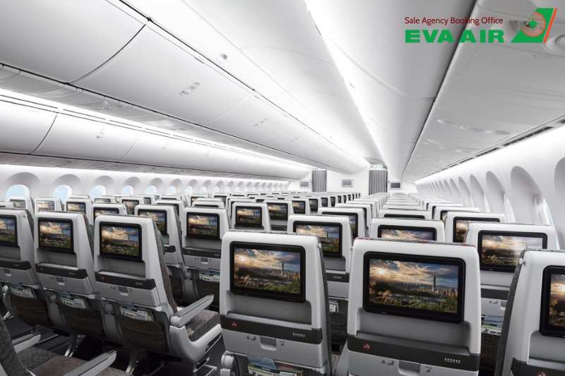 Thủ tục xuất cảnh chó mèo đi máy bay EVA Air, thủ tục xuất cảnh chó mèo EVA Air, thủ tục xuất cảnh thú cưng EVA Air, Giấy tờ xuất cảnh chó mèo bay quốc tế EVA Air, Giấy kiểm dịch xuất cảnh chó mèo EVA Air, thủ tục kiểm dịch xuất cảnh chó mèo EVA Air