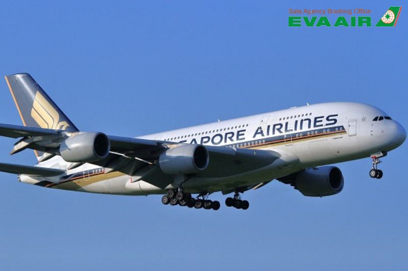ve-may-bay-di-singapore-gia-re