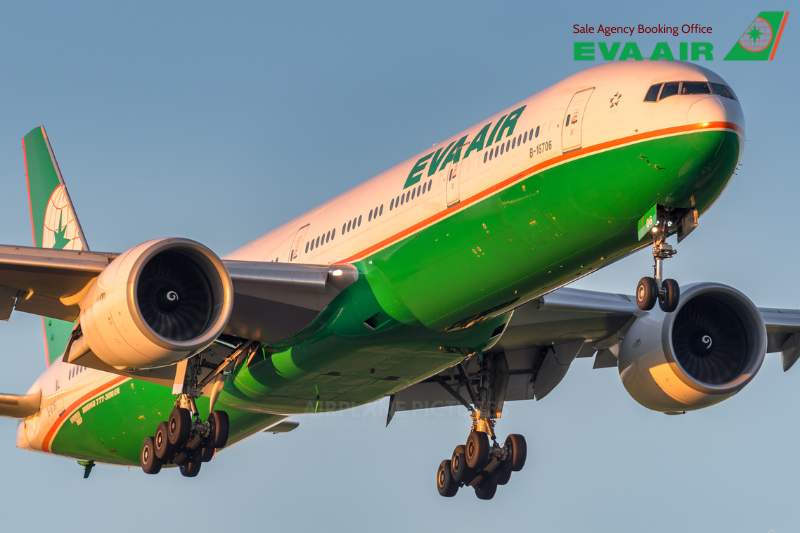 nâng hạng vé EVA Air chuyến bay dài, Nâng cấp ghế EVA Air đường dài, Nâng hạng Business EVA Air chuyến bay dài, nâng hạng Royal Laurel EVA Air tuyến bay dài, Nâng cấp lên Premium Economy EVA Air chuyến bay dài, so sánh hạng vé EVA Air bay dài