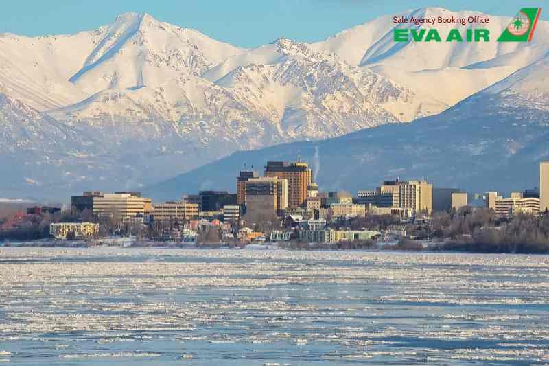 vé thú cưng chó mèo đi Anchorage Mỹ EVA Air, vé máy bay thú cưng đi Mỹ EVA Air, vận chuyển chó mèo đi Anchorage EVA Air, vé chó mèo đi Anchorage Mỹ EVA Air,Vé chó mèo đi Anchorage EVA Air,thú cưng bay sang Anchorage Mỹ EVA Air,