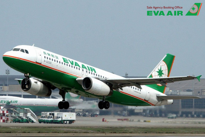 Dịch vụ hỗ trợ đặc biệt EVA Air, EVA Air hỗ trợ hành khách đặc biệt, Dịch vụ hỗ trợ hành khách EVA Air, Dịch vụ hỗ trợ người khuyết tật EVA Air, Dịch vụ hỗ trợ trẻ em đi một mình EVA Air, Dịch vụ hỗ trợ phụ nữ mang thai EVA Air, Dịch vụ hỗ trợ y tế EVA Air, Dịch vụ cáng EVA Air